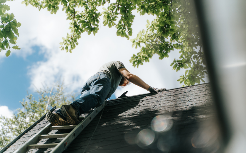 Projekt bez nazwy 2025 09 08T172236.725